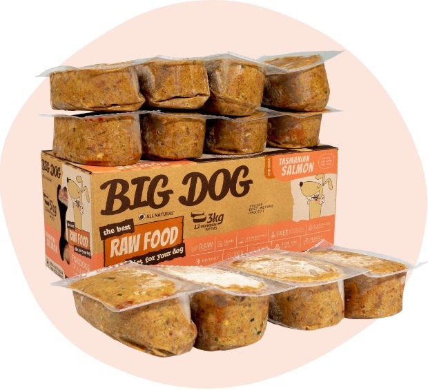 Salmon Raw Dog Food Products Big Dog Pet Food